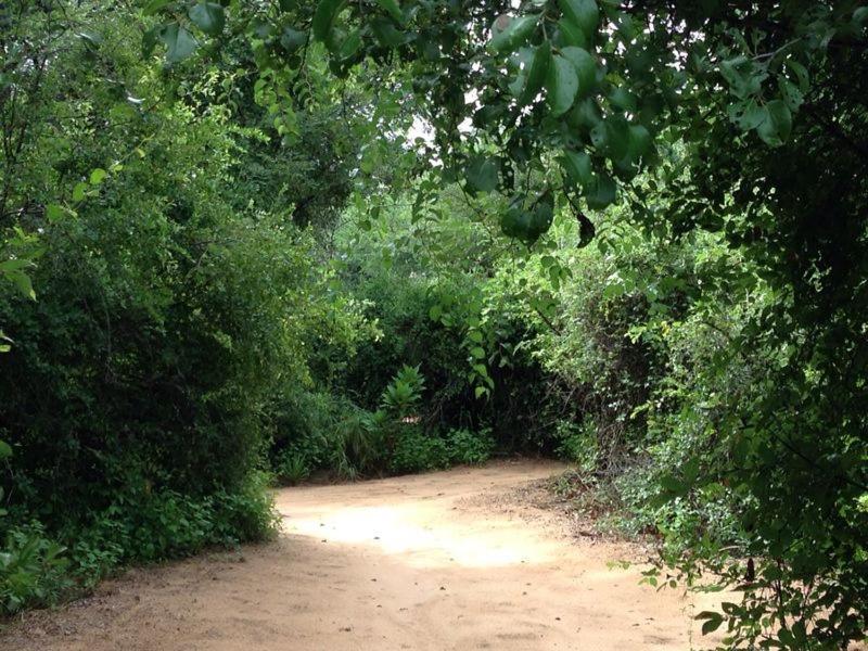 רונדו Taranga Safari Lodge מראה חיצוני תמונה