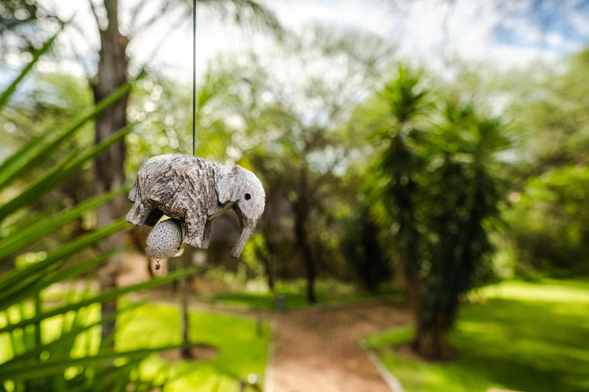 רונדו Taranga Safari Lodge מראה חיצוני תמונה