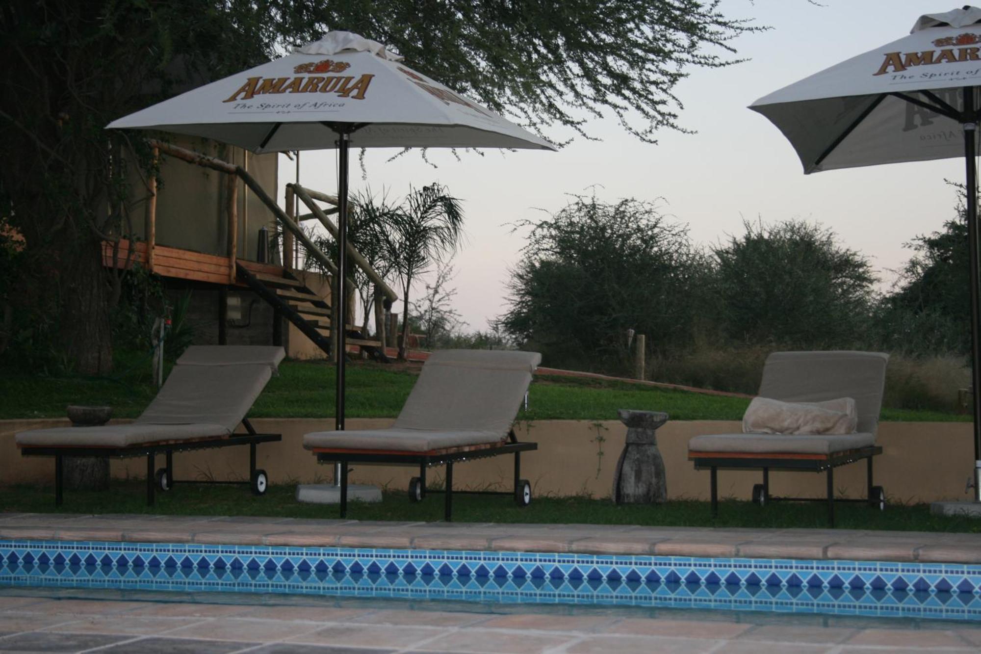 רונדו Taranga Safari Lodge מראה חיצוני תמונה
