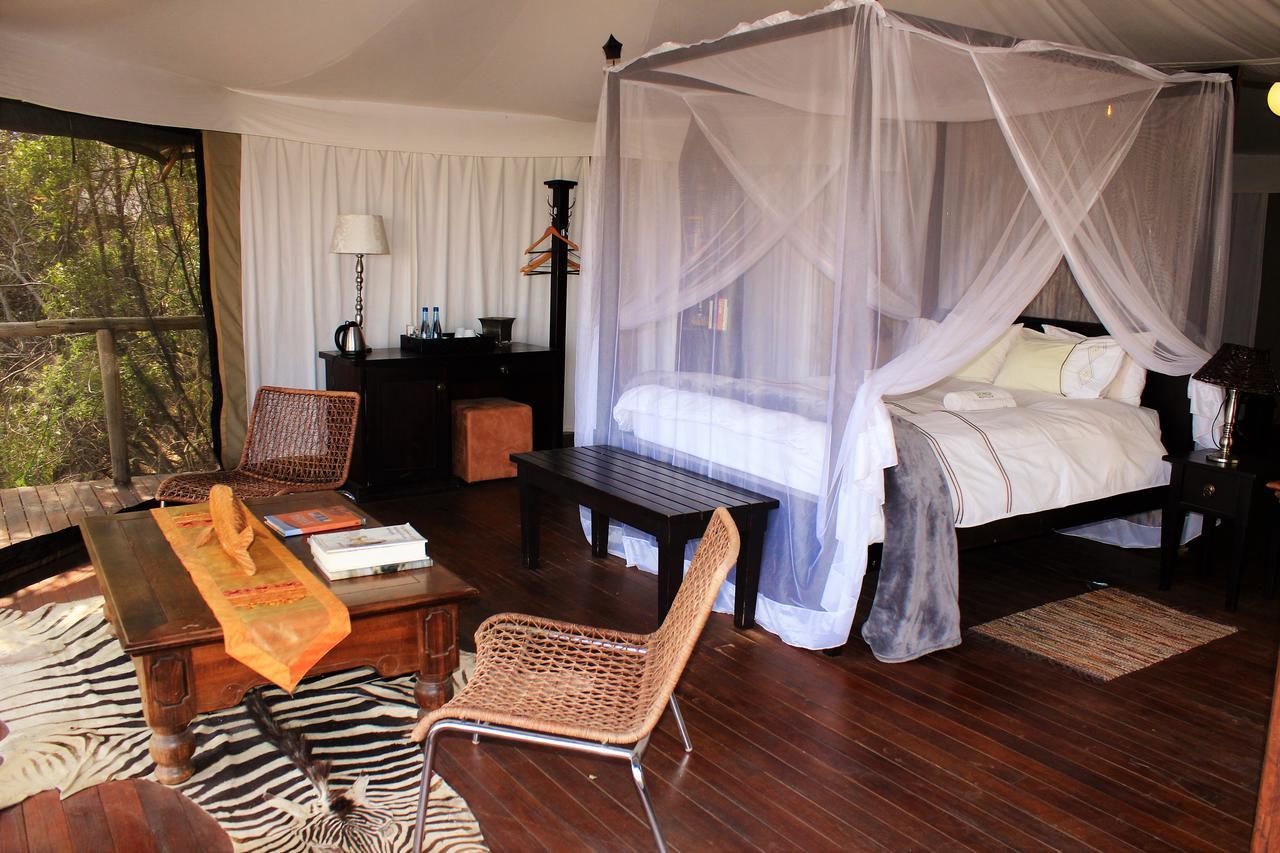 רונדו Taranga Safari Lodge מראה חיצוני תמונה